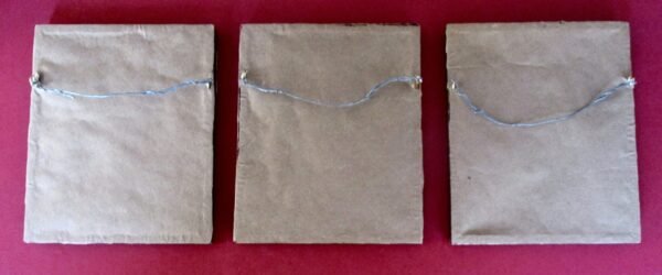 Collection of (3) Smaller Antique Original Framed Botanicals Under Glass/Shabby Chic - Image 6